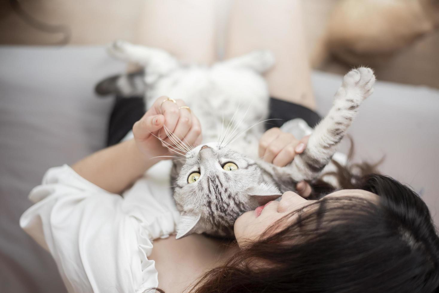 linda mulher amante de gatos asiáticos está brincando com gato em seu quarto foto