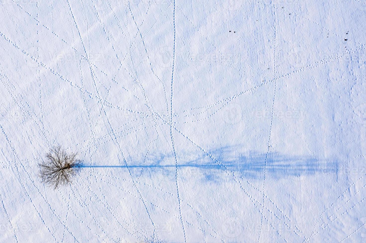 bela vista aérea do enorme lago congelado no meio de uma floresta na letônia. Lago Ungurs congelado na Letônia. foto