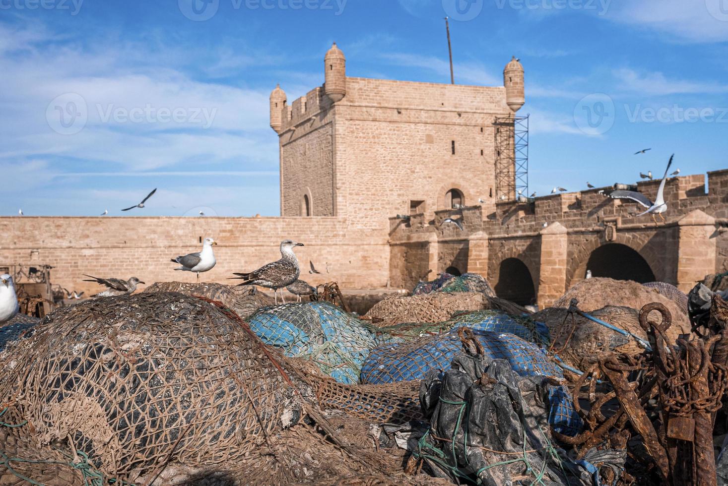 gaivotas empoleiradas na rede de pesca e voando ao redor da torre histórica foto