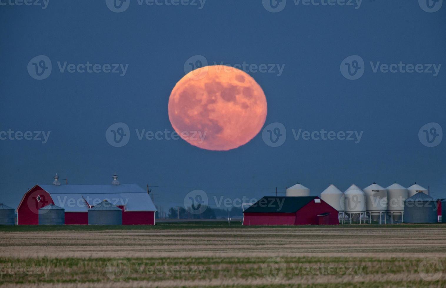 lua cheia pradaria foto