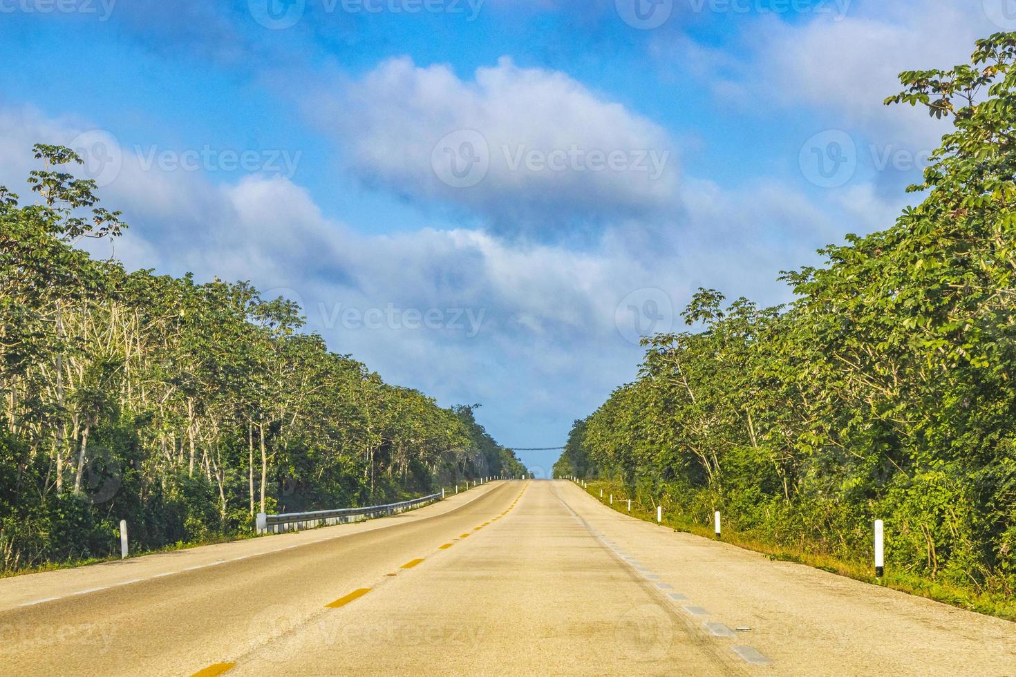 dirigindo na rodovia rodovia na natureza tropical da selva méxico. foto