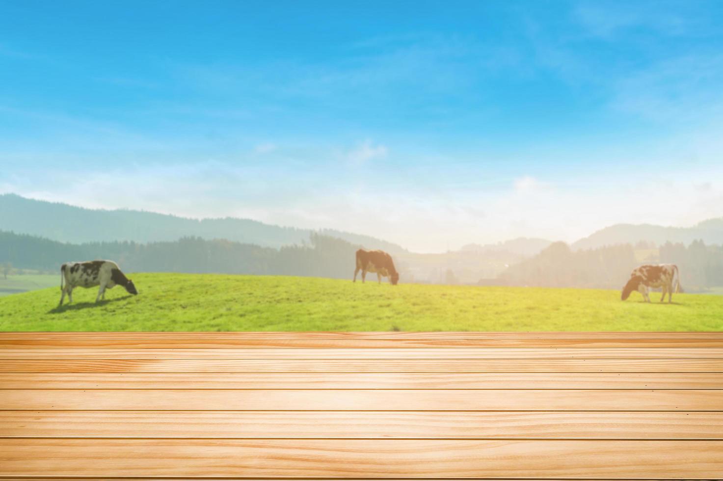 tampo da mesa de madeira sobre turva do fundo da fazenda, vacas na montanha verde com céu azul. foto