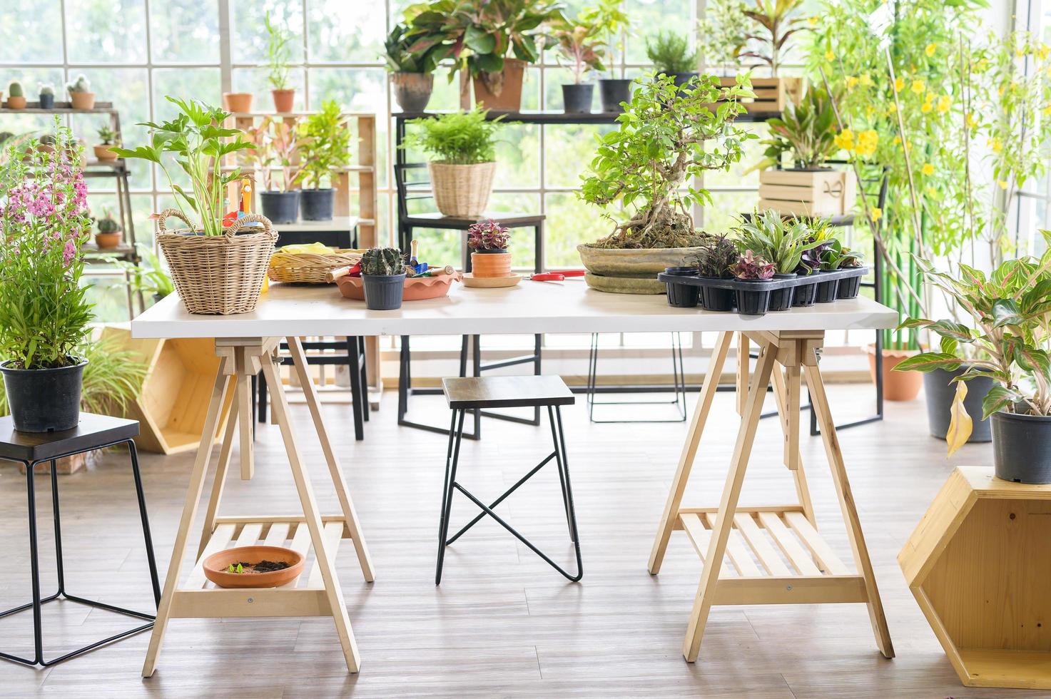 uma vista do jardim interior em casa moderna, jardinagem doméstica e conceito de hobby. foto