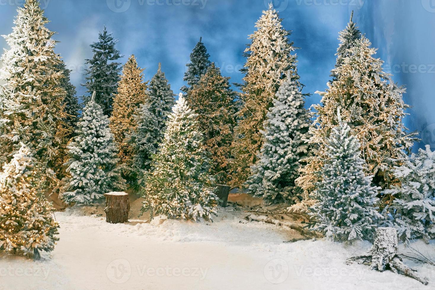 floresta de neve mágica com árvores de natal foto