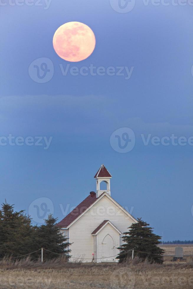 lua rosa cheia foto