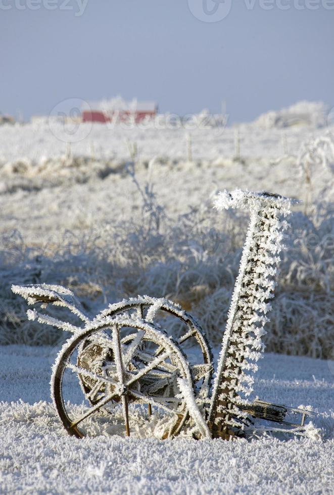 geada de inverno saskatchewan foto