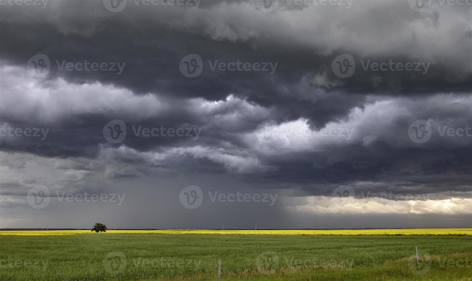 pradaria nuvens de tempestade Canadá foto