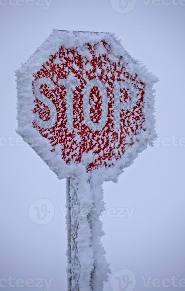 geada de inverno saskatchewan foto