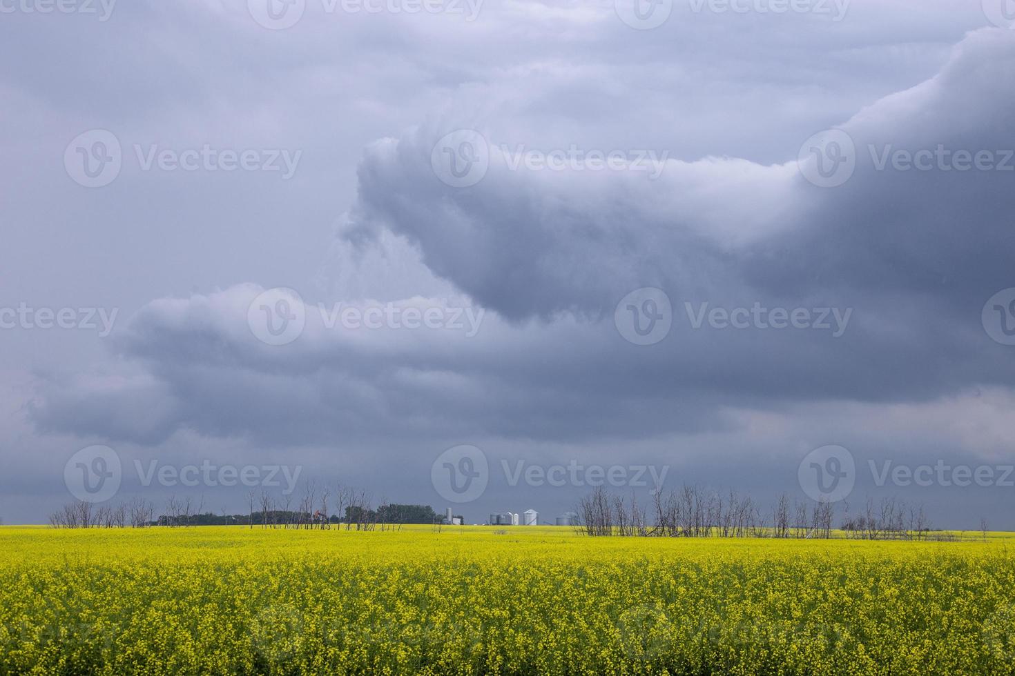 pradaria nuvens de tempestade Canadá foto