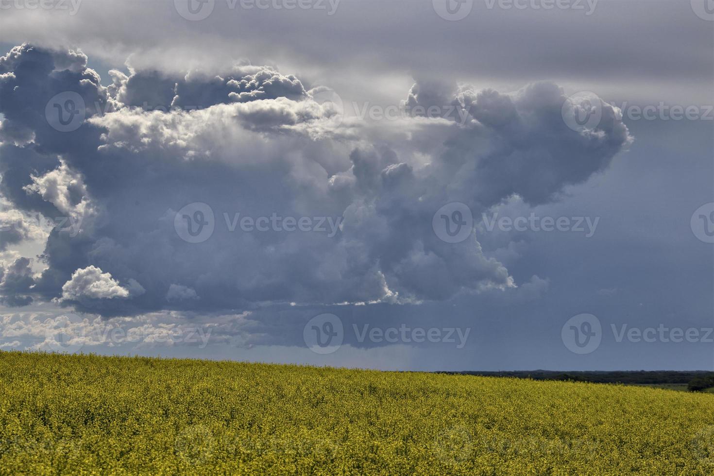 pradaria nuvens de tempestade Canadá foto