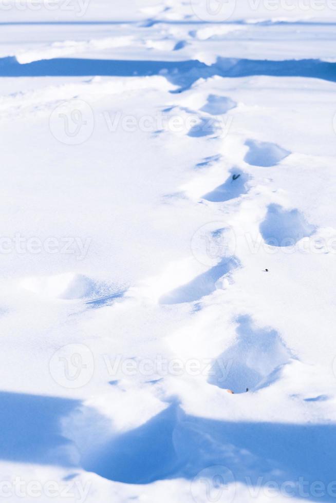 passos em uma superfície de neve brilhante em um dia frio de inverno ao ar livre foto