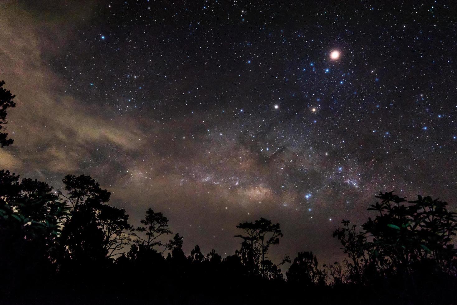 paisagem noturna com estrela nuvem via láctea galáxia luz céu noturno e silhueta pinheiro na floresta foto