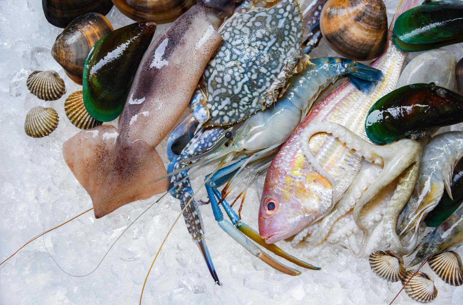 frutos do mar crus frescos no fundo de gelo mariscos camarões camarões caranguejo concha berbigão mexilhão lula polvo foto