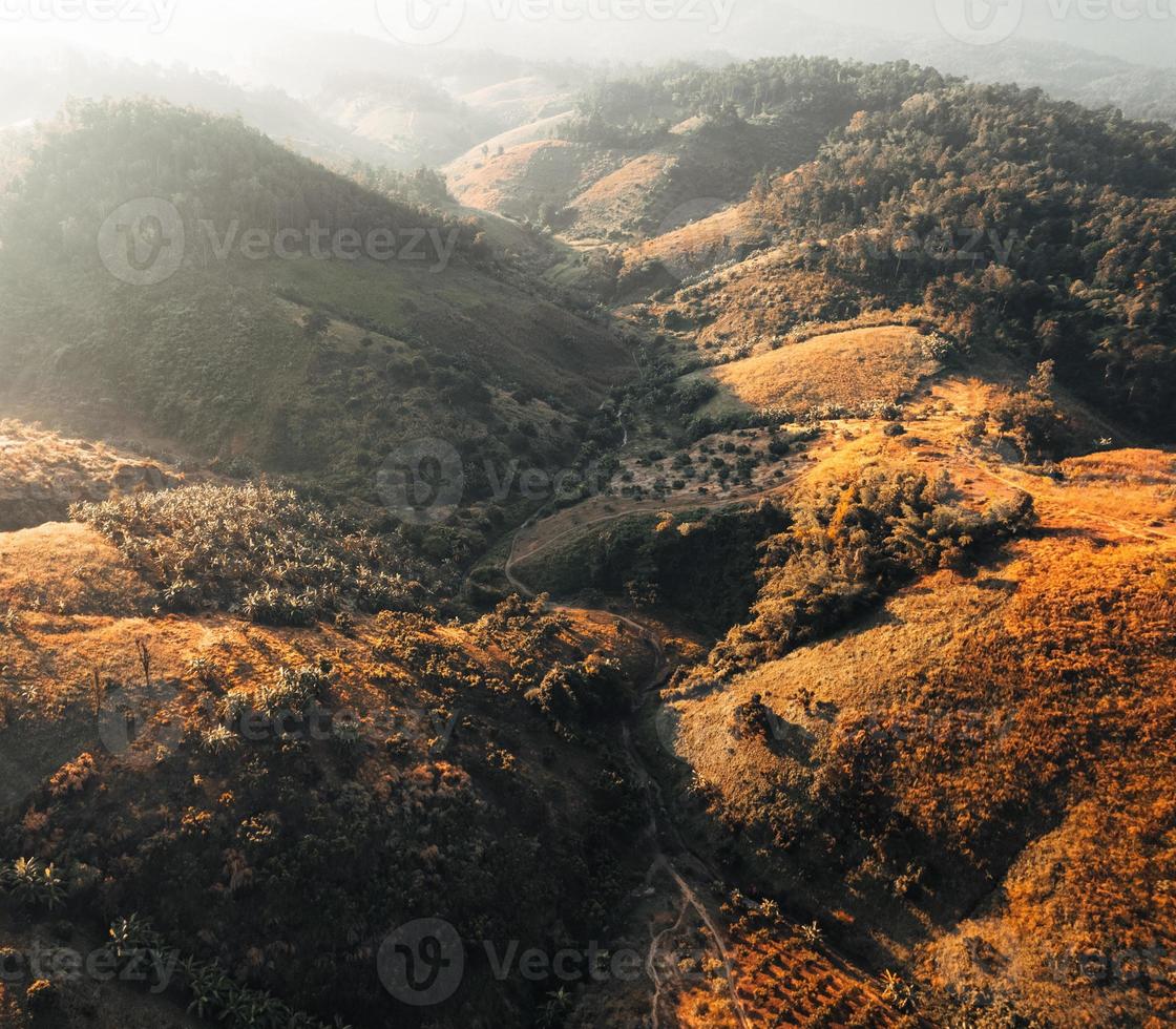 prado dourado nas montanhas de manhã foto