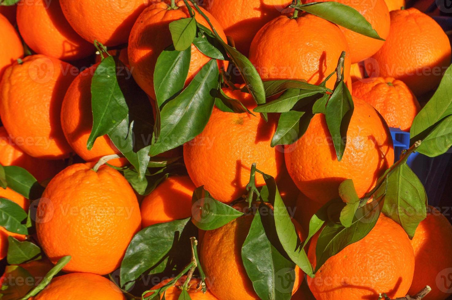 comida de fruta tangerina foto