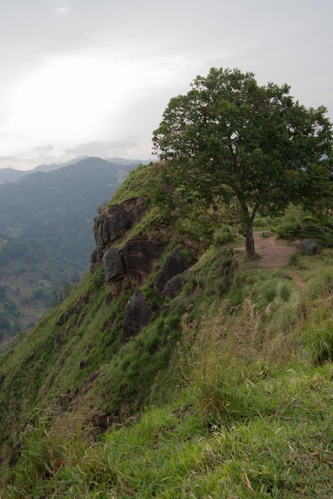 bela paisagem com uma colina verde, uma árvore e montanhas com nevoeiro como pano de fundo foto