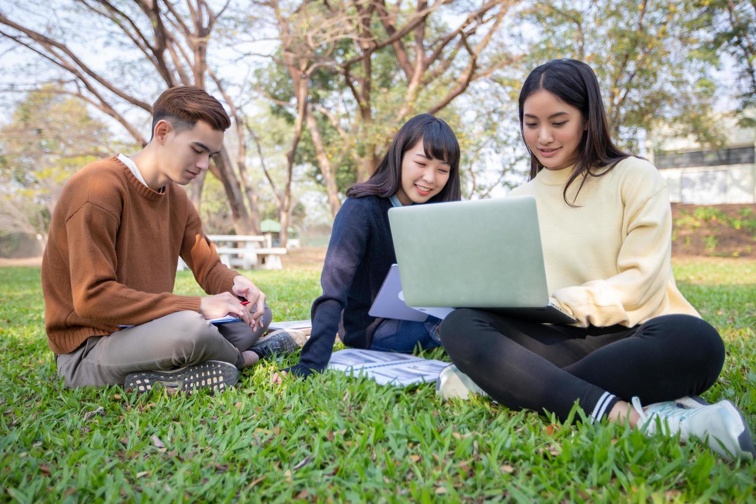 grupo de estudantes universitários asiáticos sentados na grama verde trabalhando e lendo juntos em um parque foto