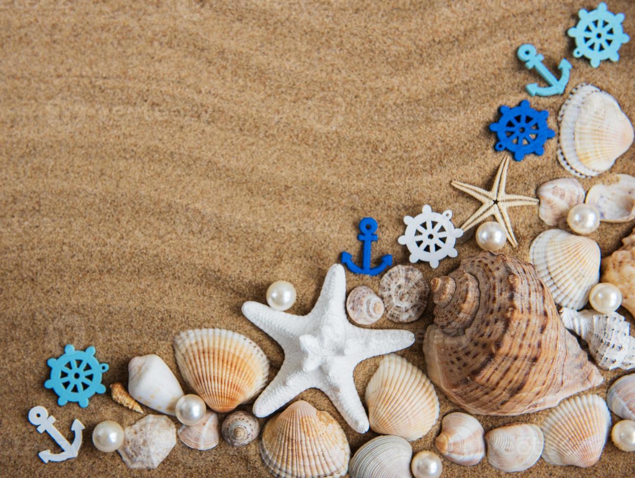 conchas do mar com areia como pano de fundo foto