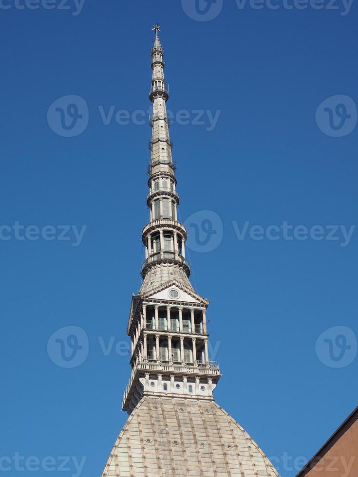 toupeira antonelliana turin foto