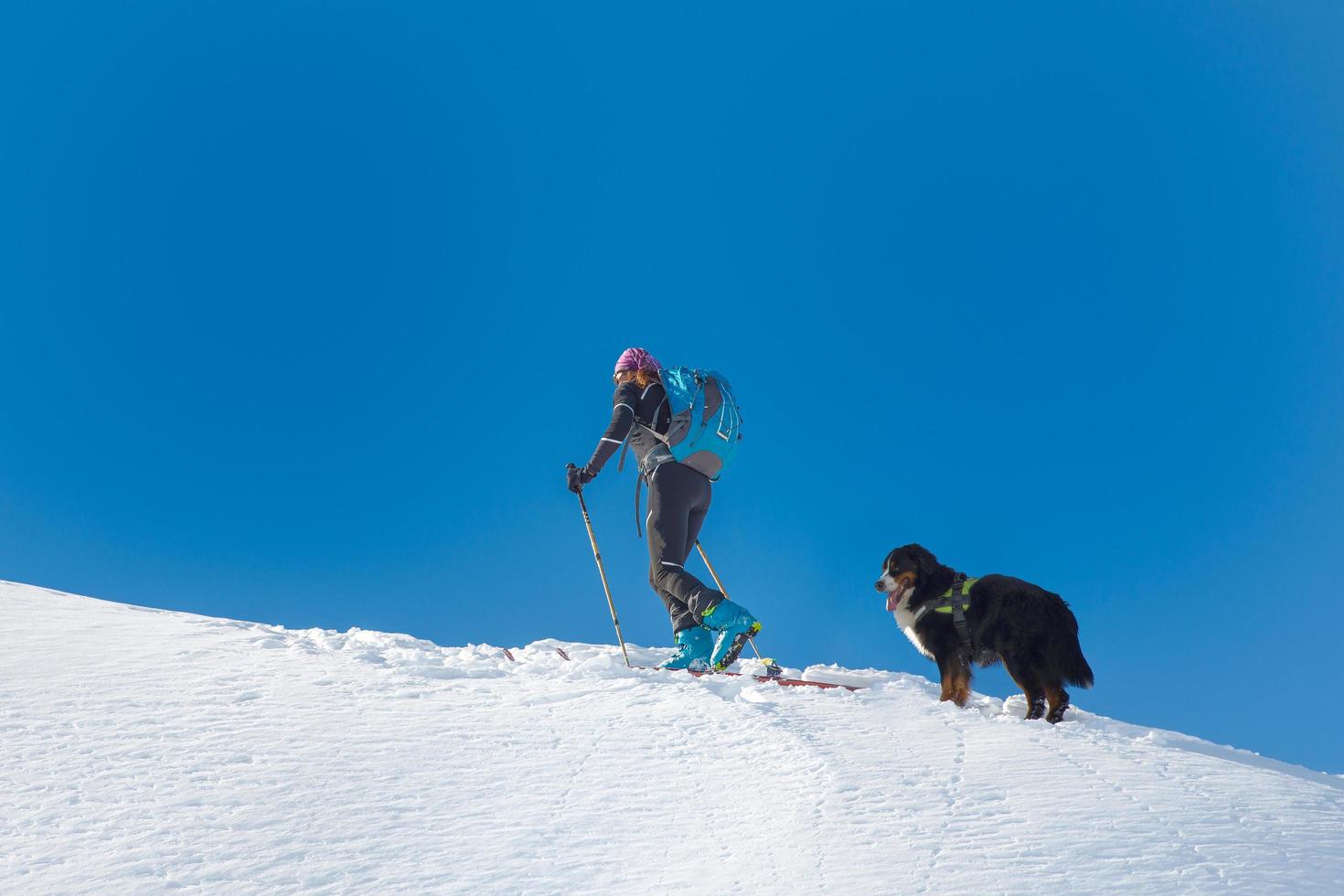 menina esqui montanhista sal de montanha sozinho com seu cachorro bernese mountain dog foto