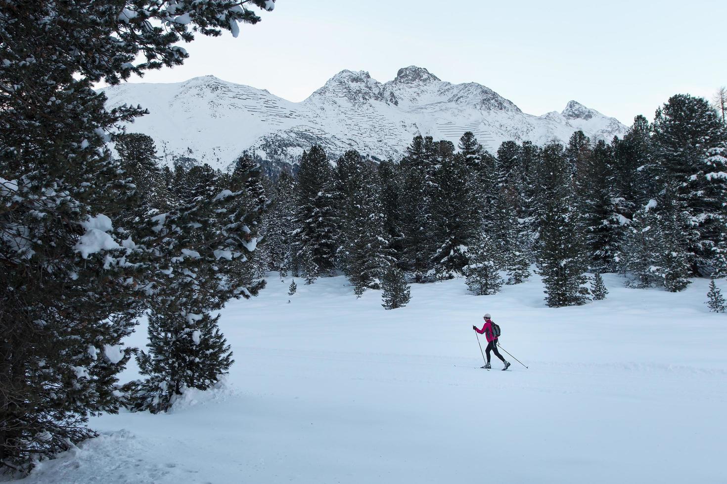 em limpar a neve nos passos da floresta de um esquiador cross-country foto