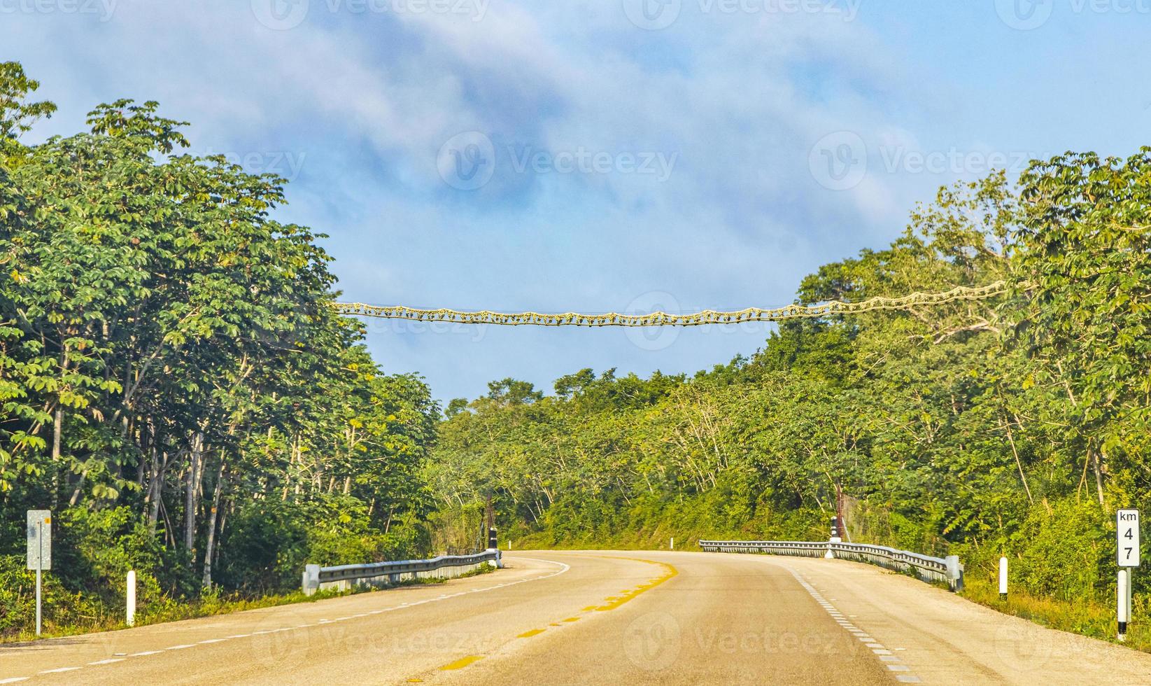 dirigindo na rodovia rodovia na natureza tropical da selva méxico. foto