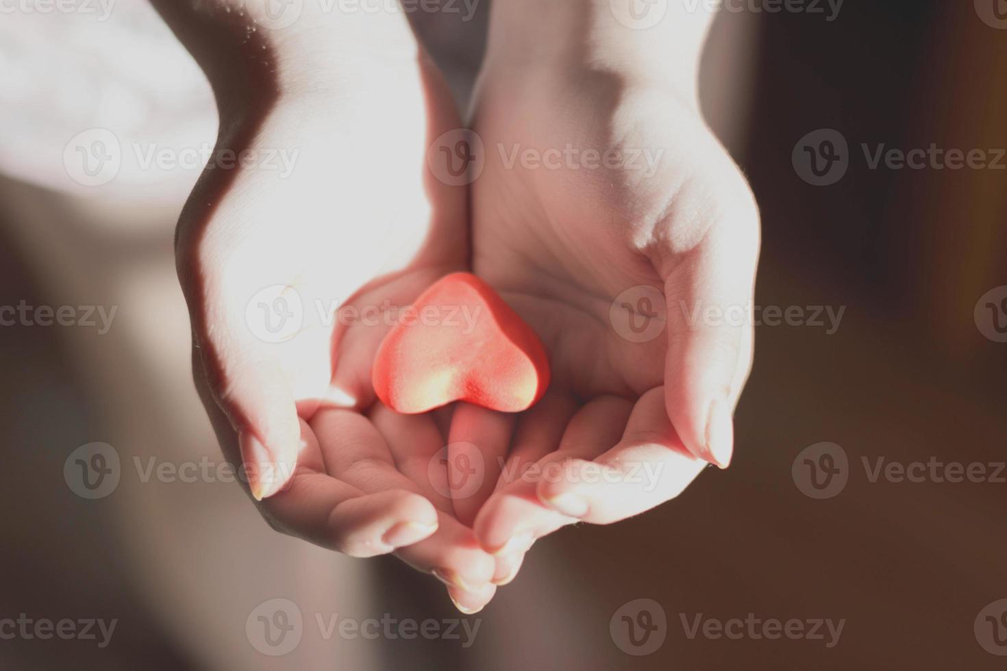 mãos segurando um coração vermelho, cuidados de saúde, amor, doação de órgãos, dia mundial do coração, dia mundial da saúde, dia nacional do doador de órgãos foto