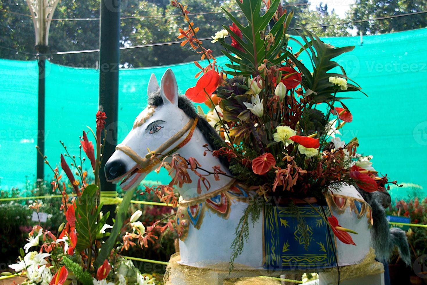 cavalo carregado com buquê foto