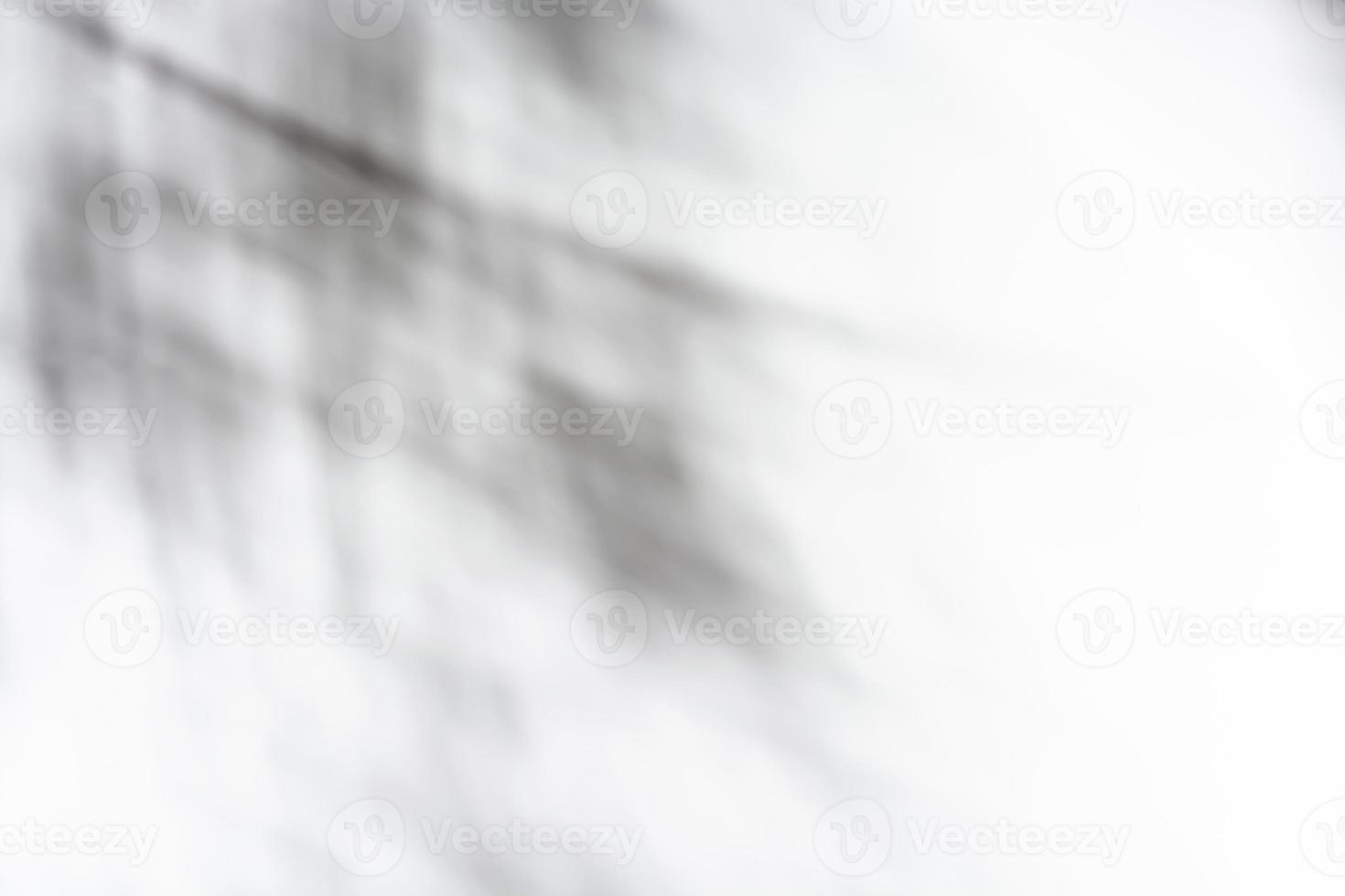 sombras de uma janela em uma parede branca foto