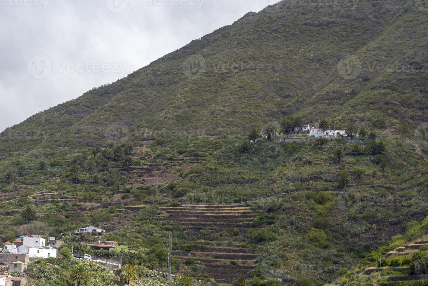 aldeia de taganana na ilha de tenerife-ilhas canárias espanha. foto