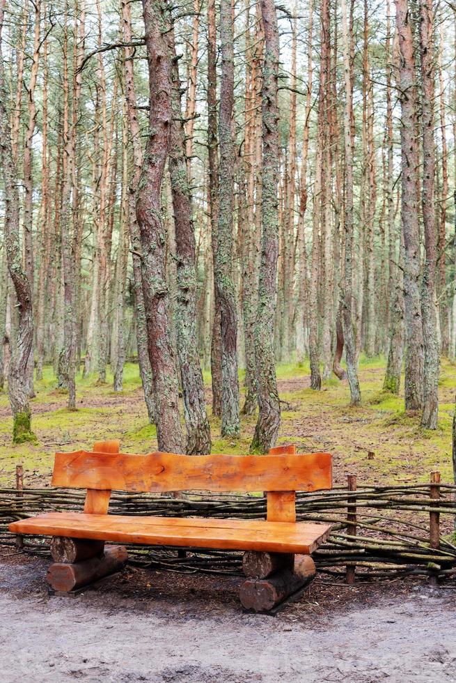 banco de madeira feito de toras e colocado na floresta foto