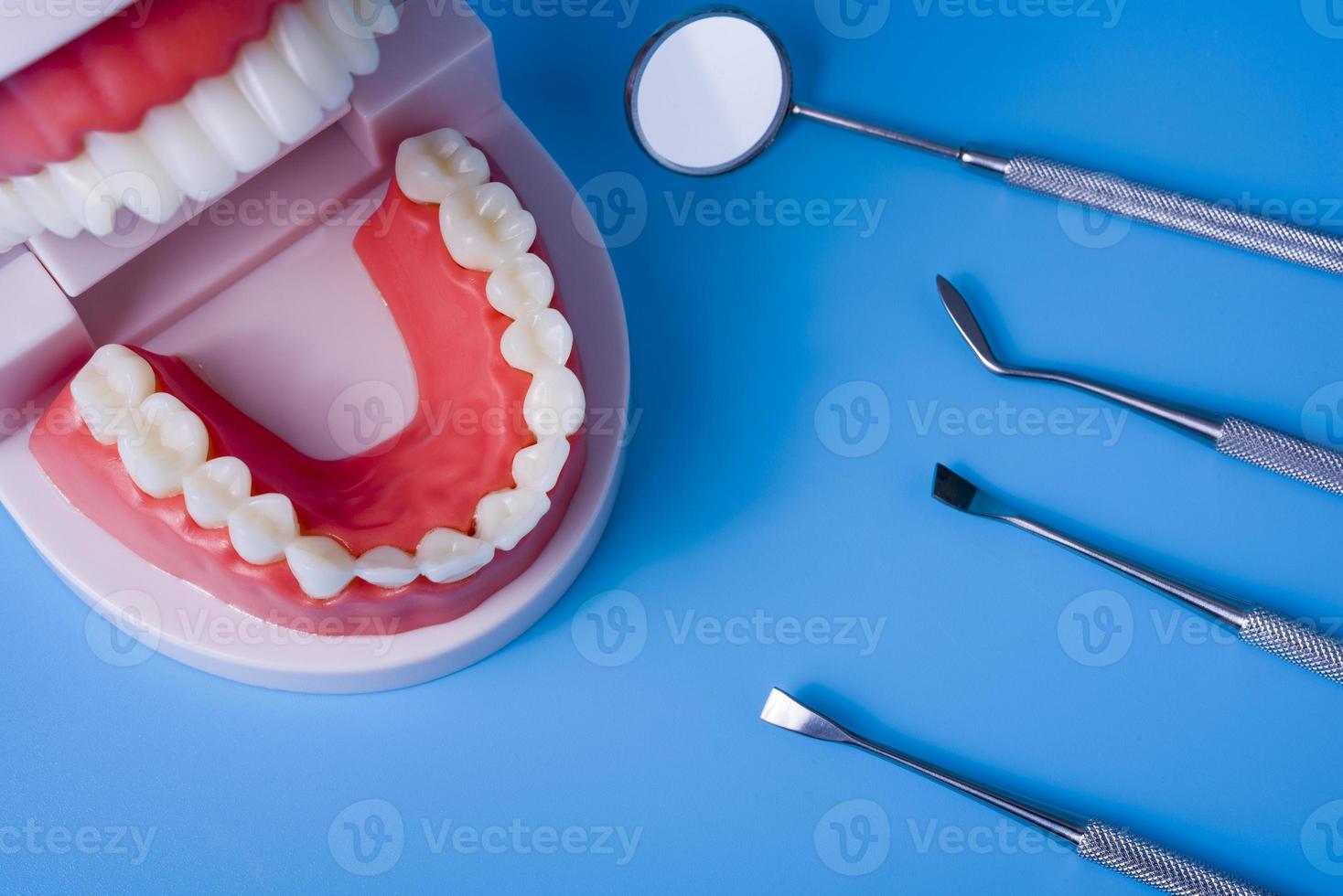 modelo de dentes com ferramentas dentárias em fundo azul foto