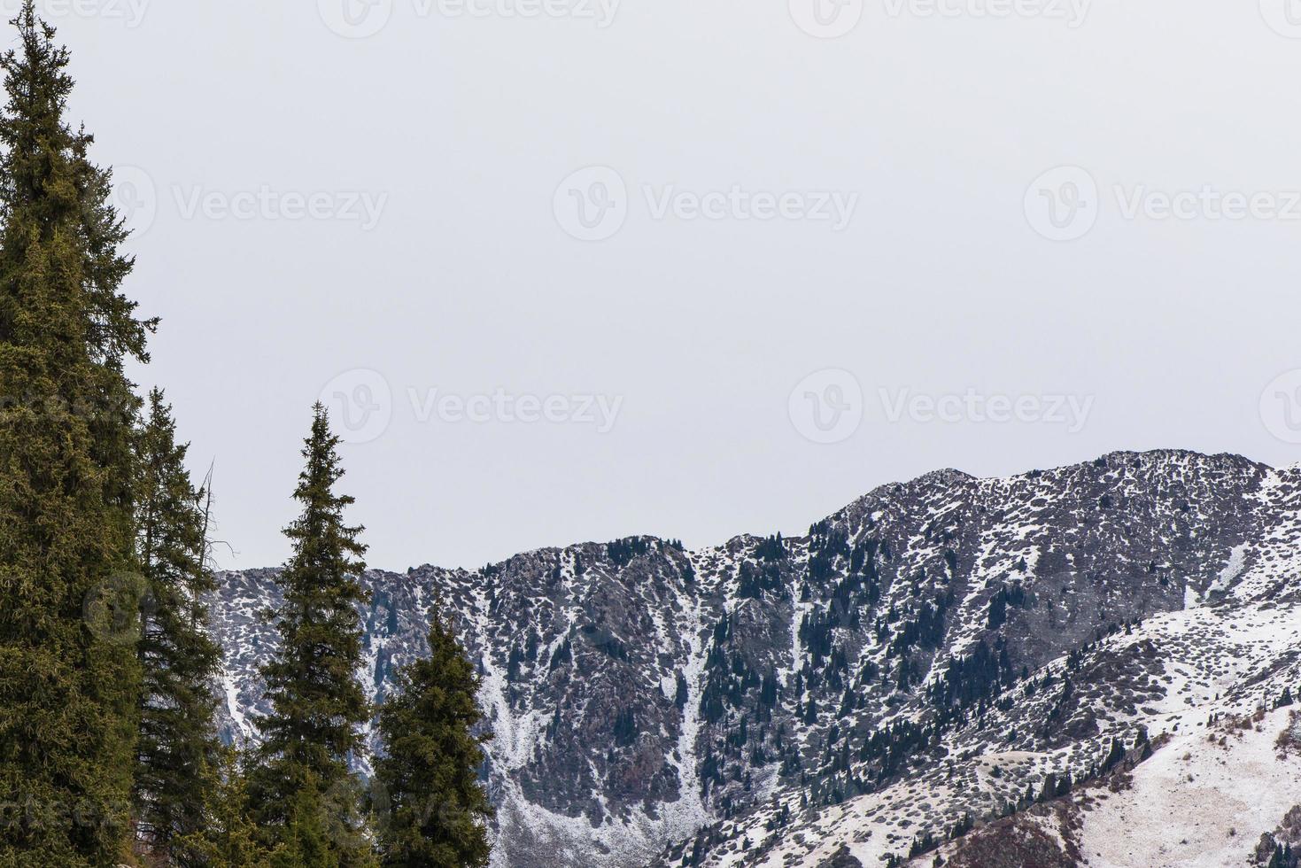paisagem montanhosa de inverno com pinheiros foto