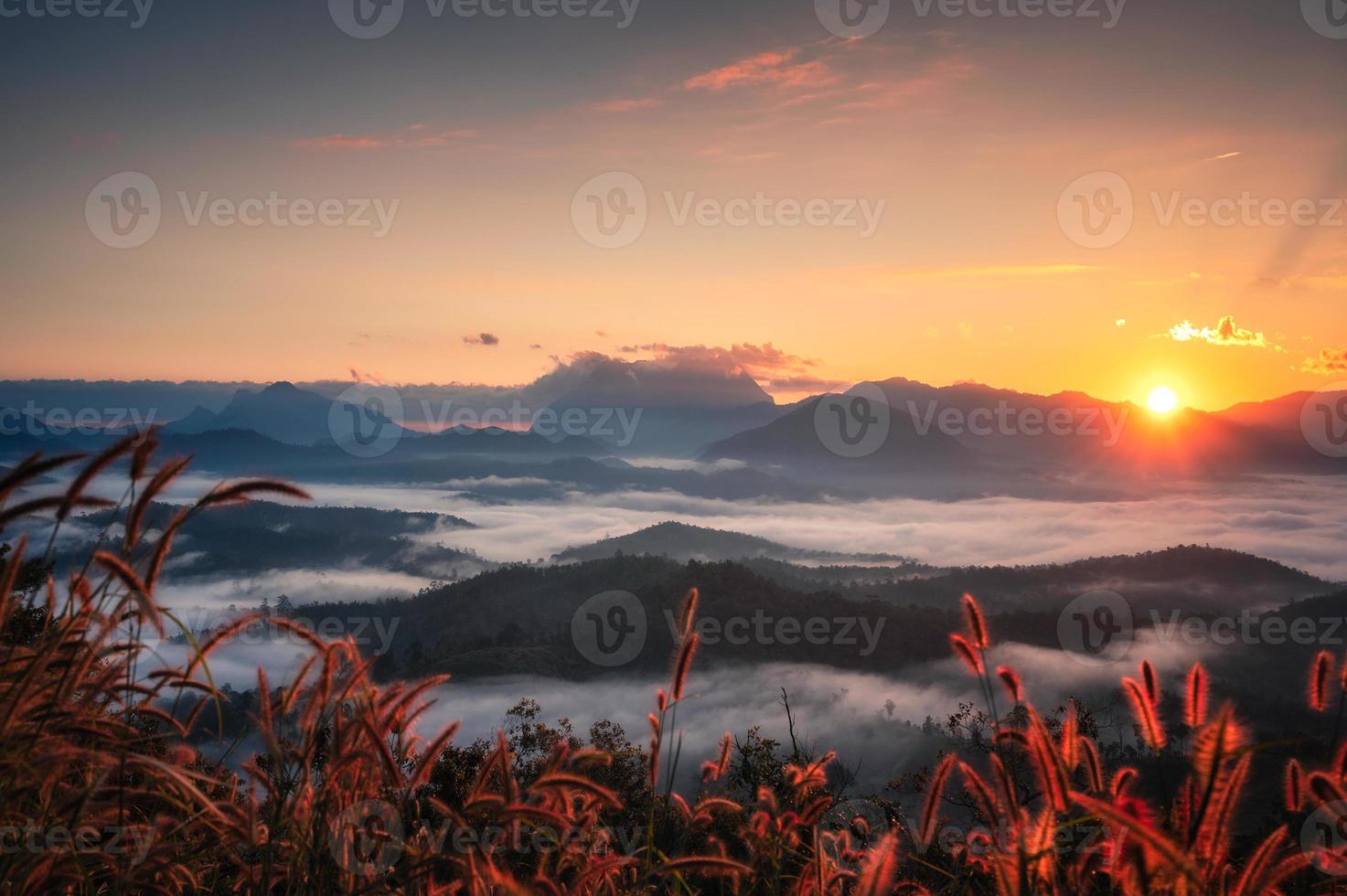 belo nascer do sol sobre a montanha doi luang chiang dao com neblina e grama no parque nacional no ponto de vista den tv foto