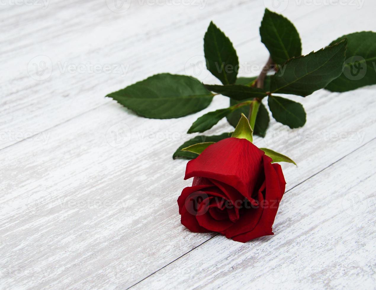 rosa vermelha em uma mesa foto