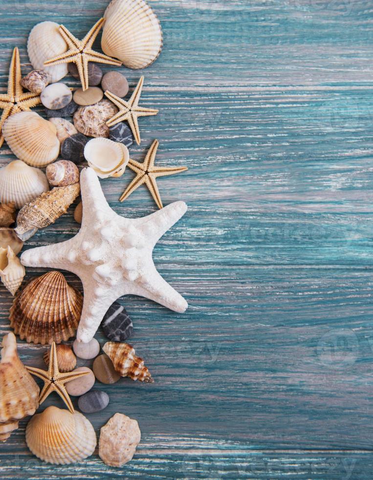 conchas do mar em uma mesa de madeira foto