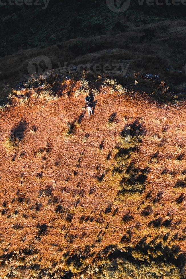 luz da manhã e montanhas, montanhas na manhã de verão e flores da primavera foto