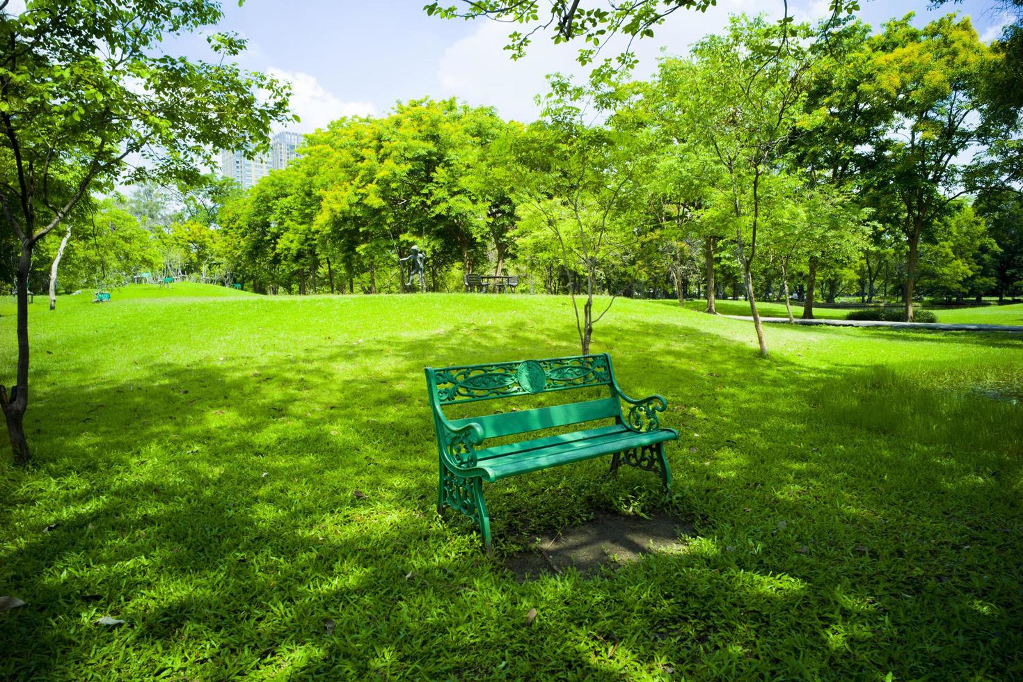 linda grama verde no parque foto