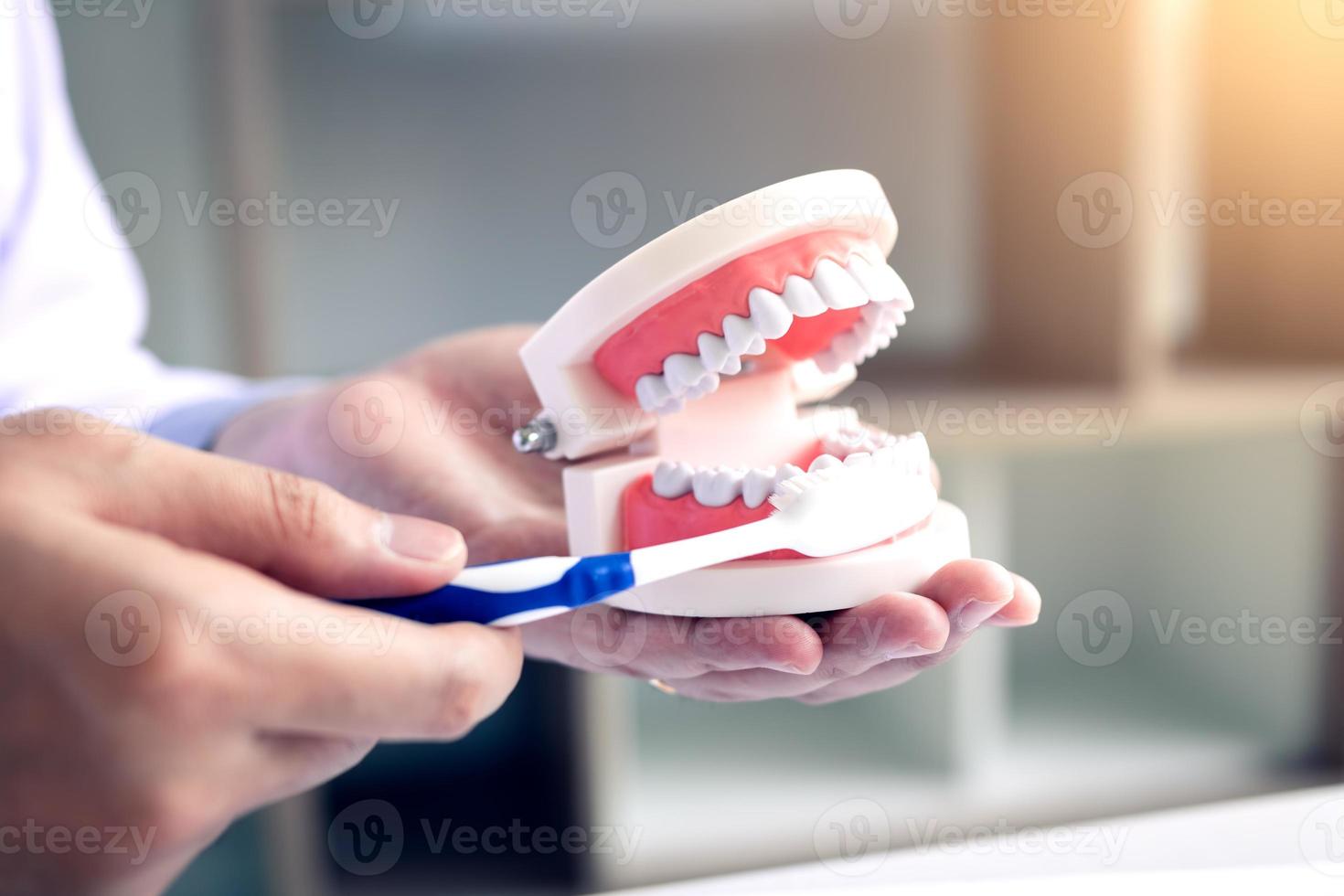 dentistas de mão de perto estão demonstrando como escovar os dentes corretamente. foto