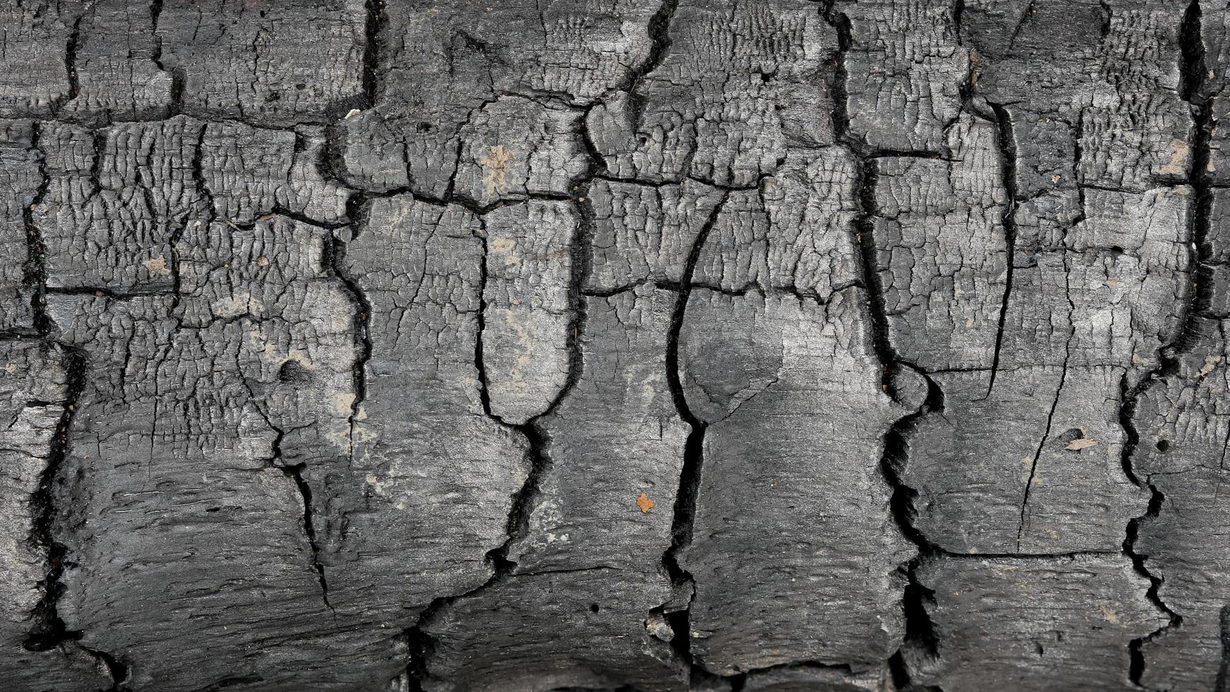 textura de madeira queimada preta, pano de fundo de carvão preto foto