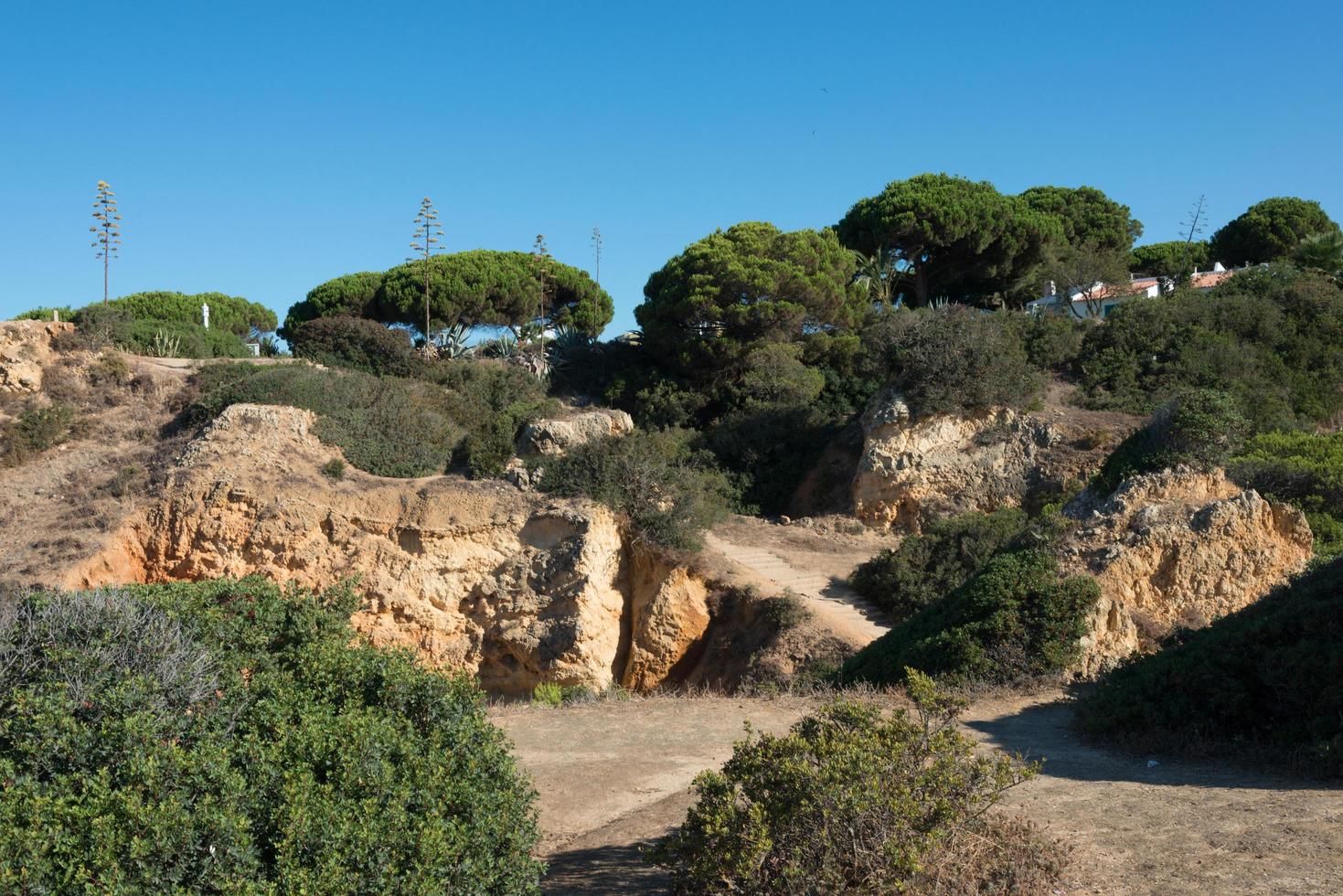 belo jardim com uma trilha para caminhada no litoral. céu azul, sem pessoas. algarve, portugal foto