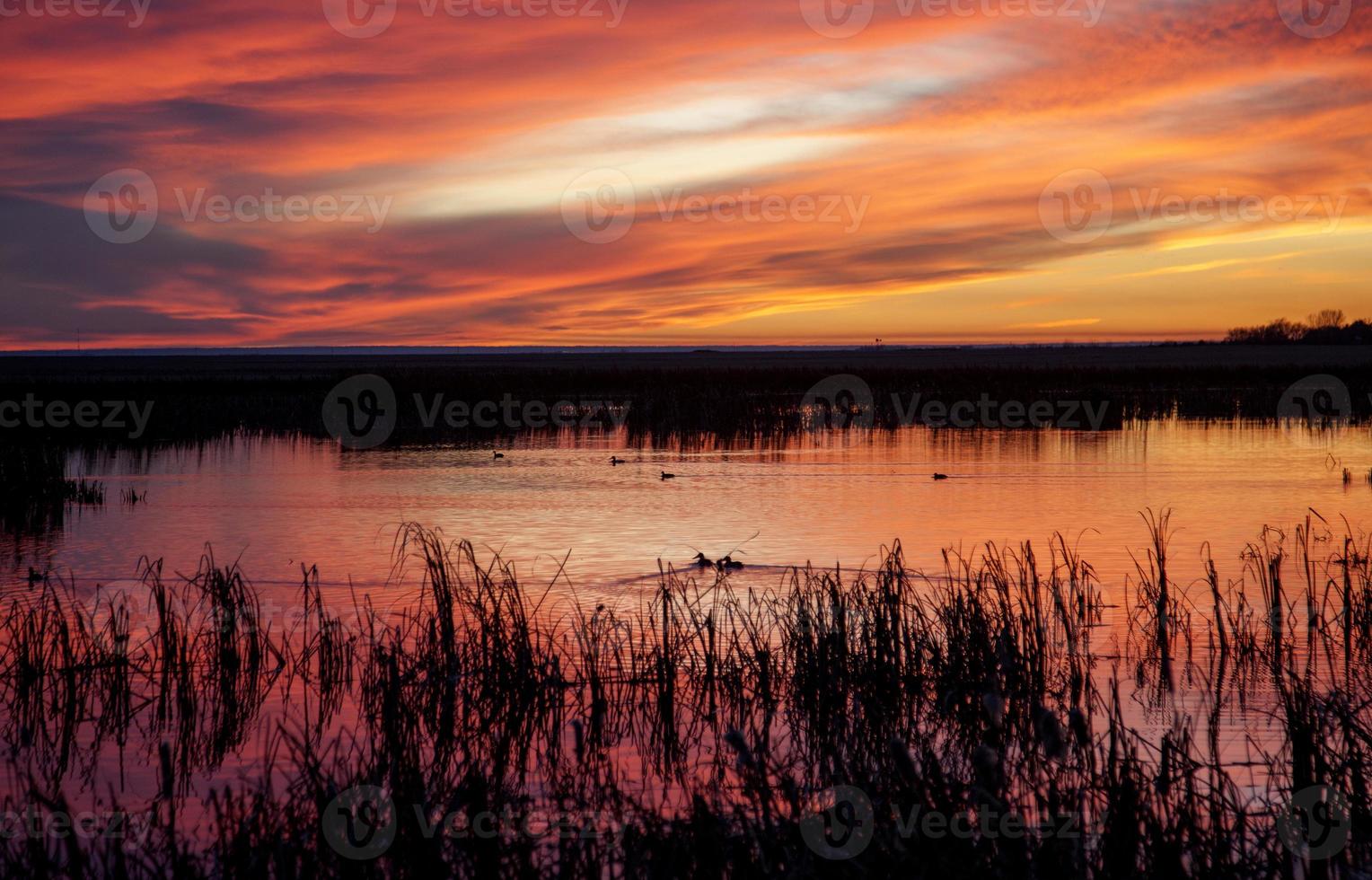 pôr do sol rural saskatchewan foto