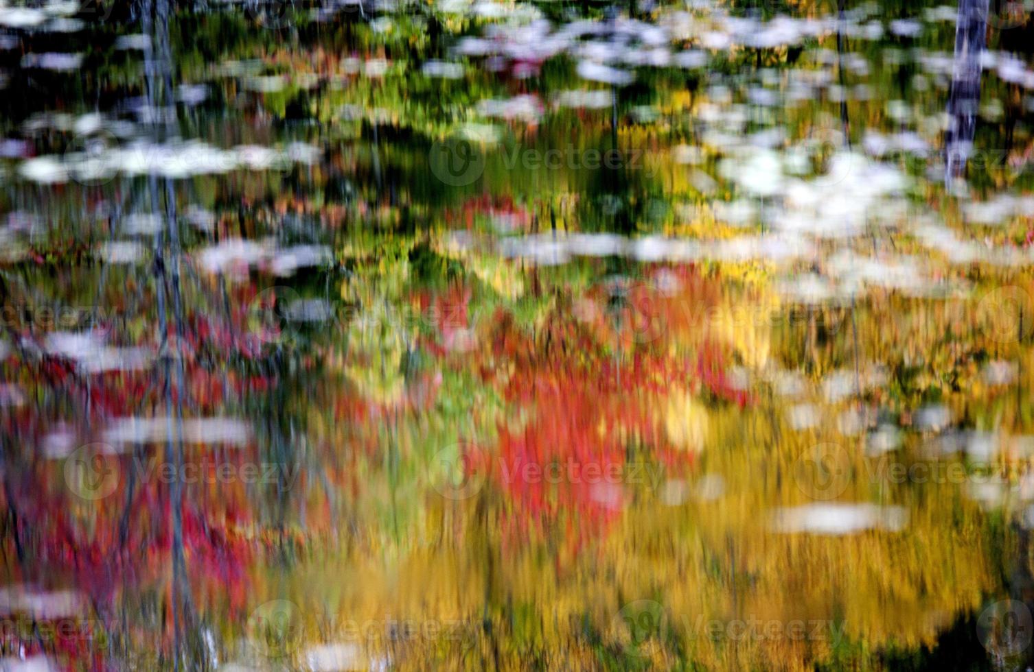 algonquin park muskoka ontário foto