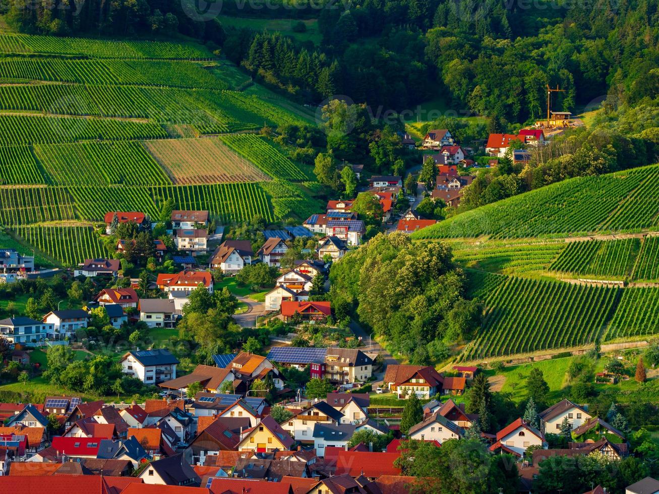 pequena vila alemã aconchegante entre as colinas verdes, vinhas na floresta negra foto