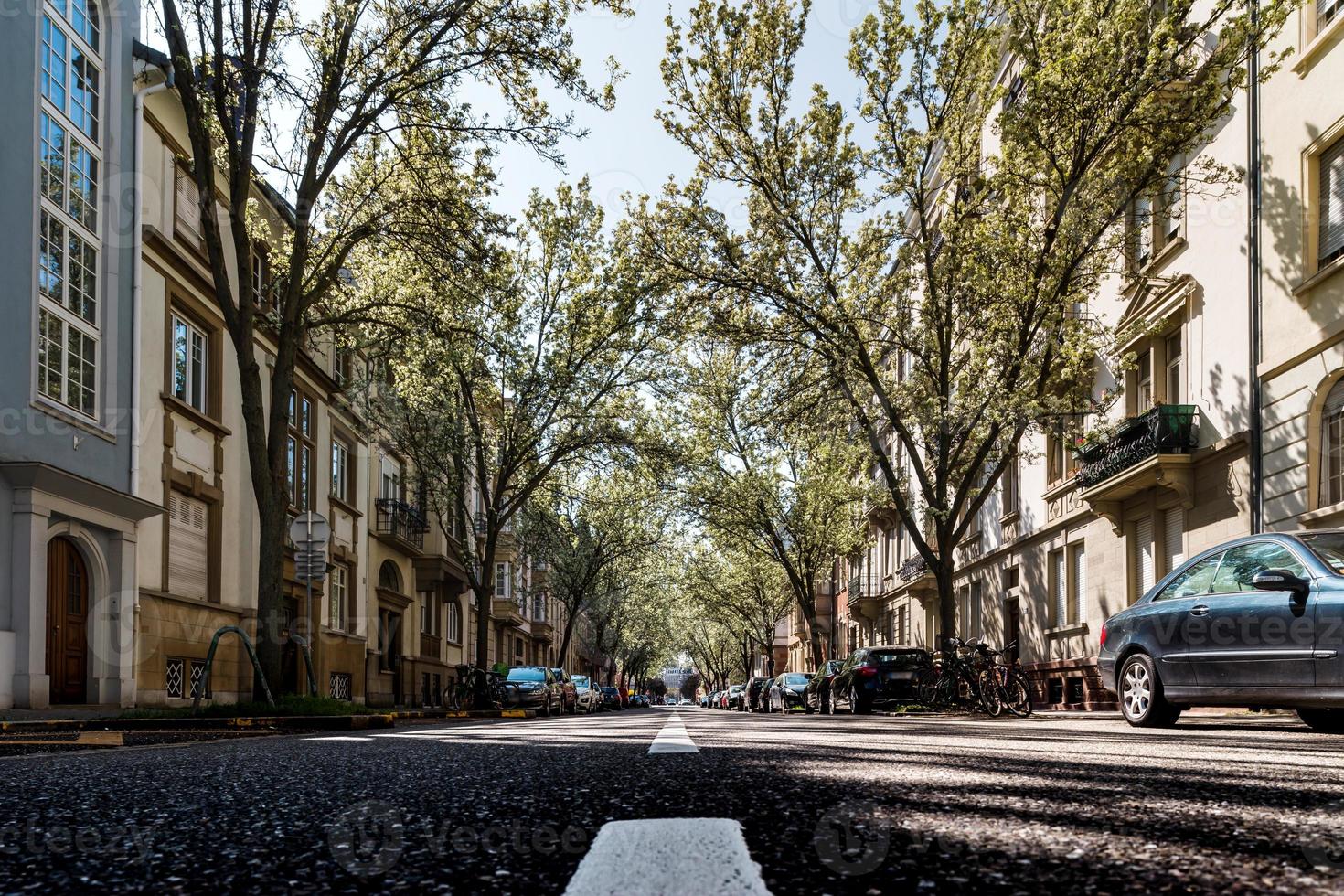 rua da cidade com cerejeiras brancas floridas, Estrasburgo foto