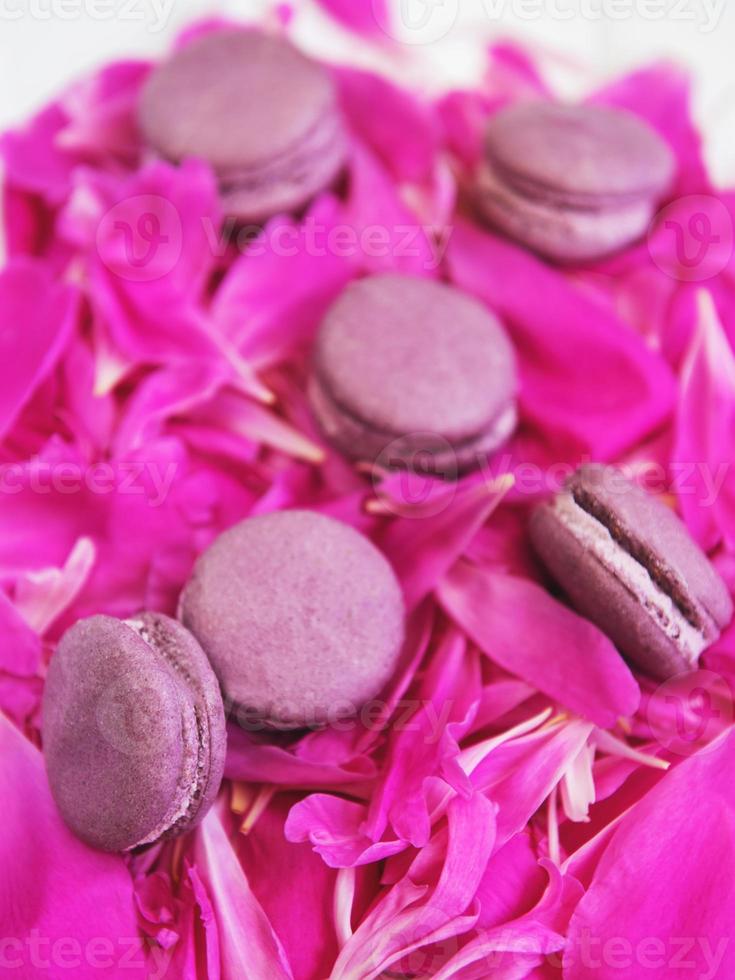 pétalas de peônia rosa com macarons foto