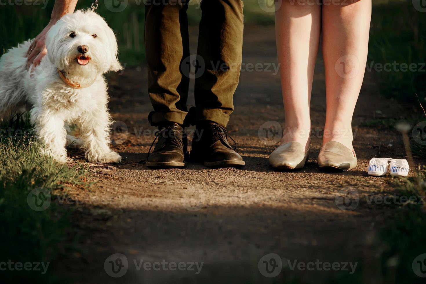 imagem recortada de casal romântico está passeando no parque com seu cachorro. mulher jovem e bonita e homem bonito estão se divertindo ao ar livre com cachorro branco divertido. foto