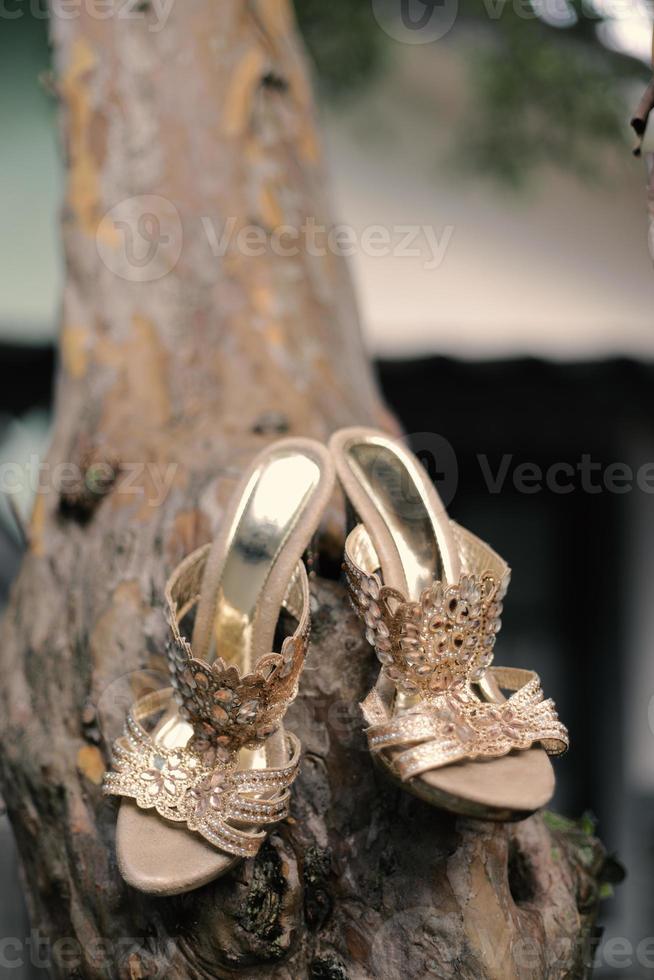 sapatos de casamento marrons luxuosos foto