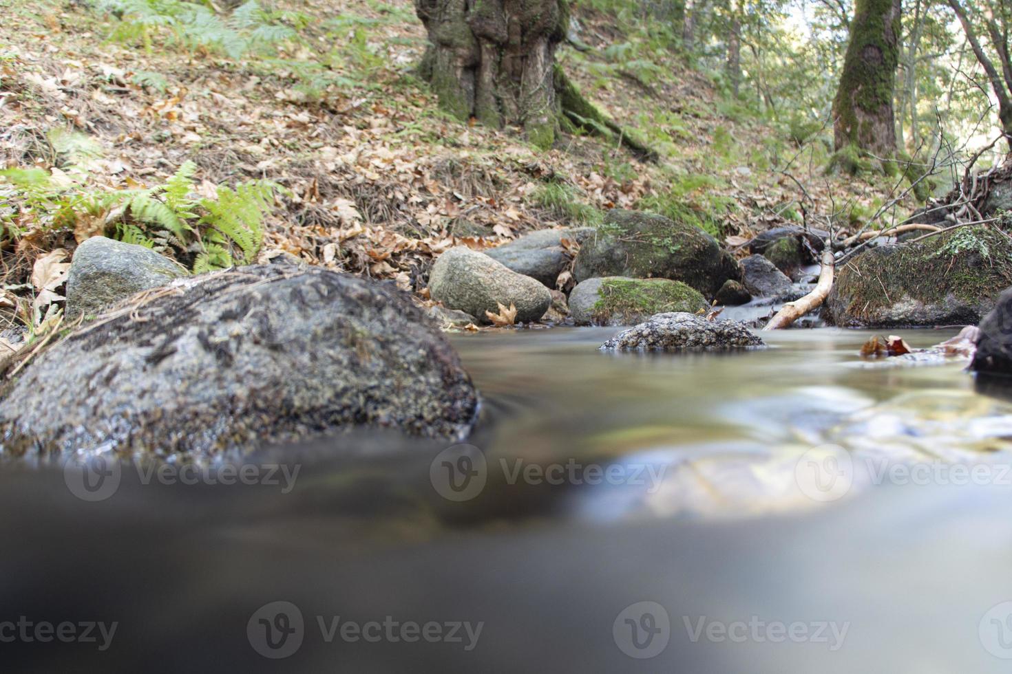 folhas caídas na cachoeira rochosa. o riacho rochoso alimenta ao longo do rio. cachoeira na floresta. bela floresta e paisagem fluvial. foto