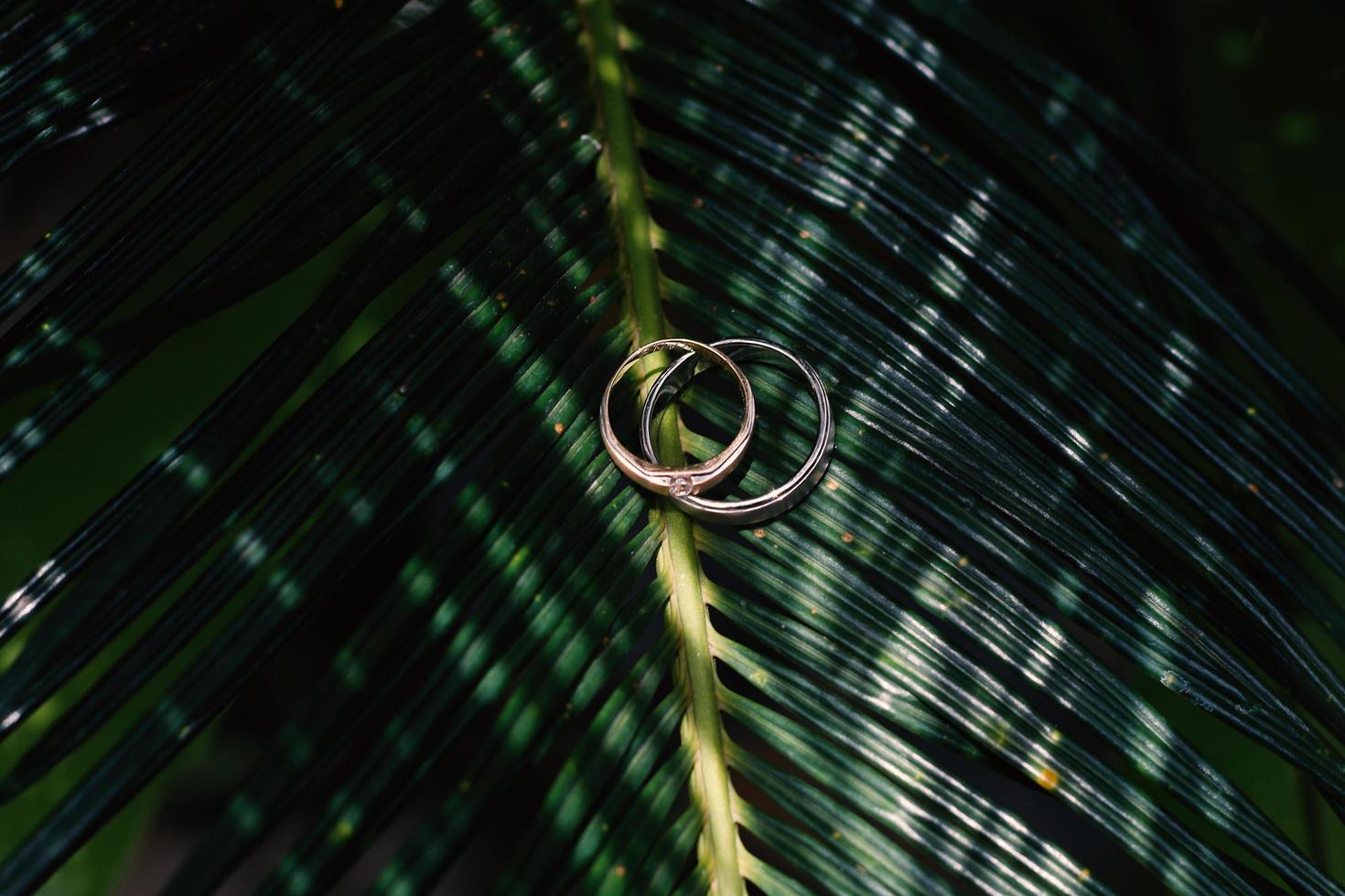 um par de alianças em uma folha verde. anéis de casamento símbolo amor família foto